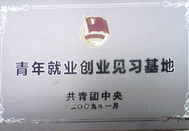 2009年1月，“青年餐廳”被“共青團中央”認證為“青年就業(yè)創(chuàng)業(yè)見習基地”